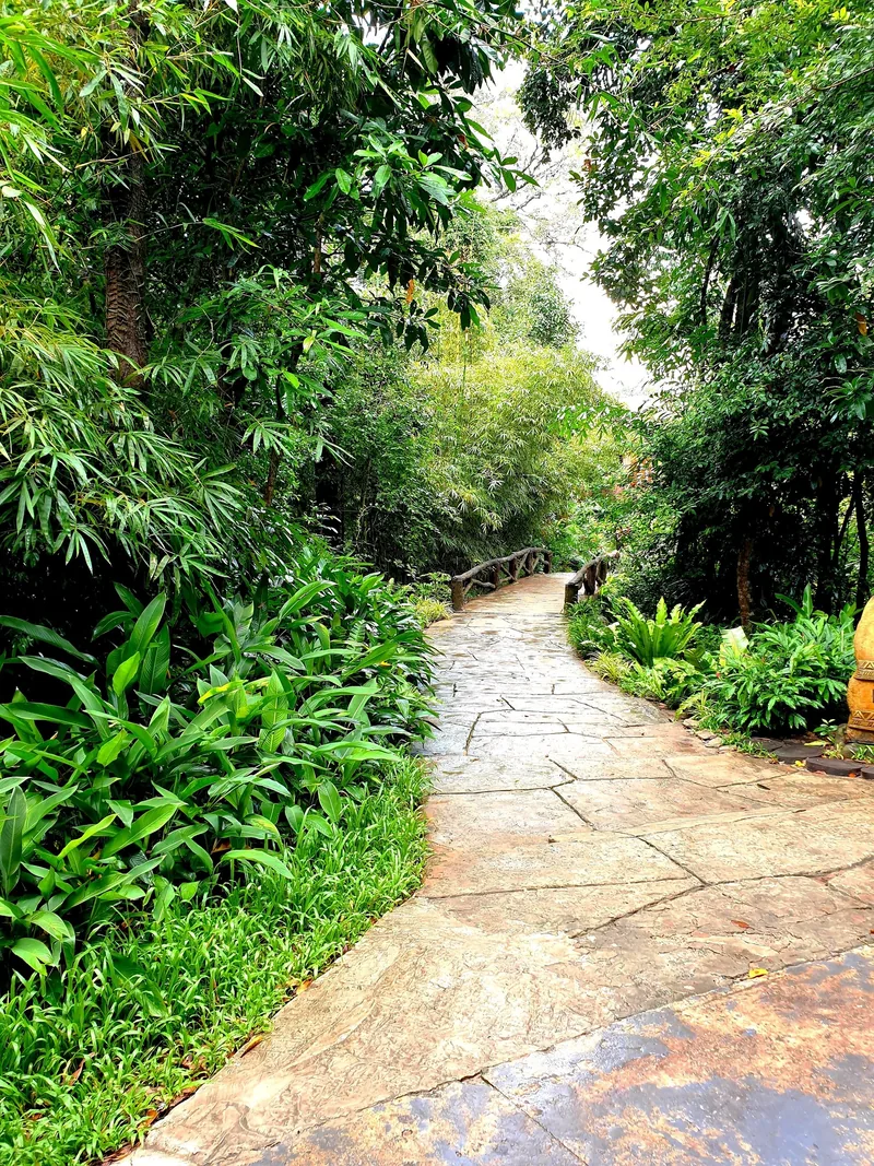 A stone pathway winds through lush tropical greenery and bamboo in a Phu Quoc nature park.