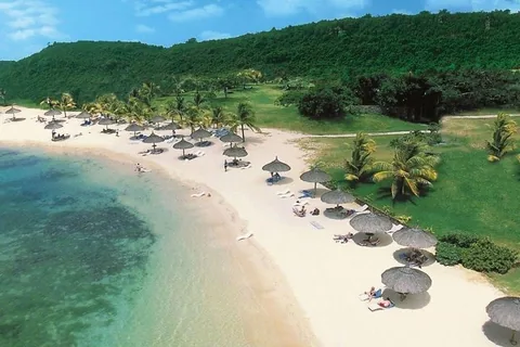 Aerial view of a white sand beach on Phu Quoc lined with thatched umbrellas, sunbeds and coconut palms